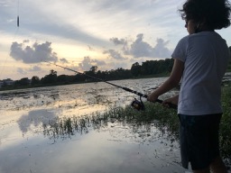 ONE FISH, TWO FISH, RED FISH, BLUE FISH
