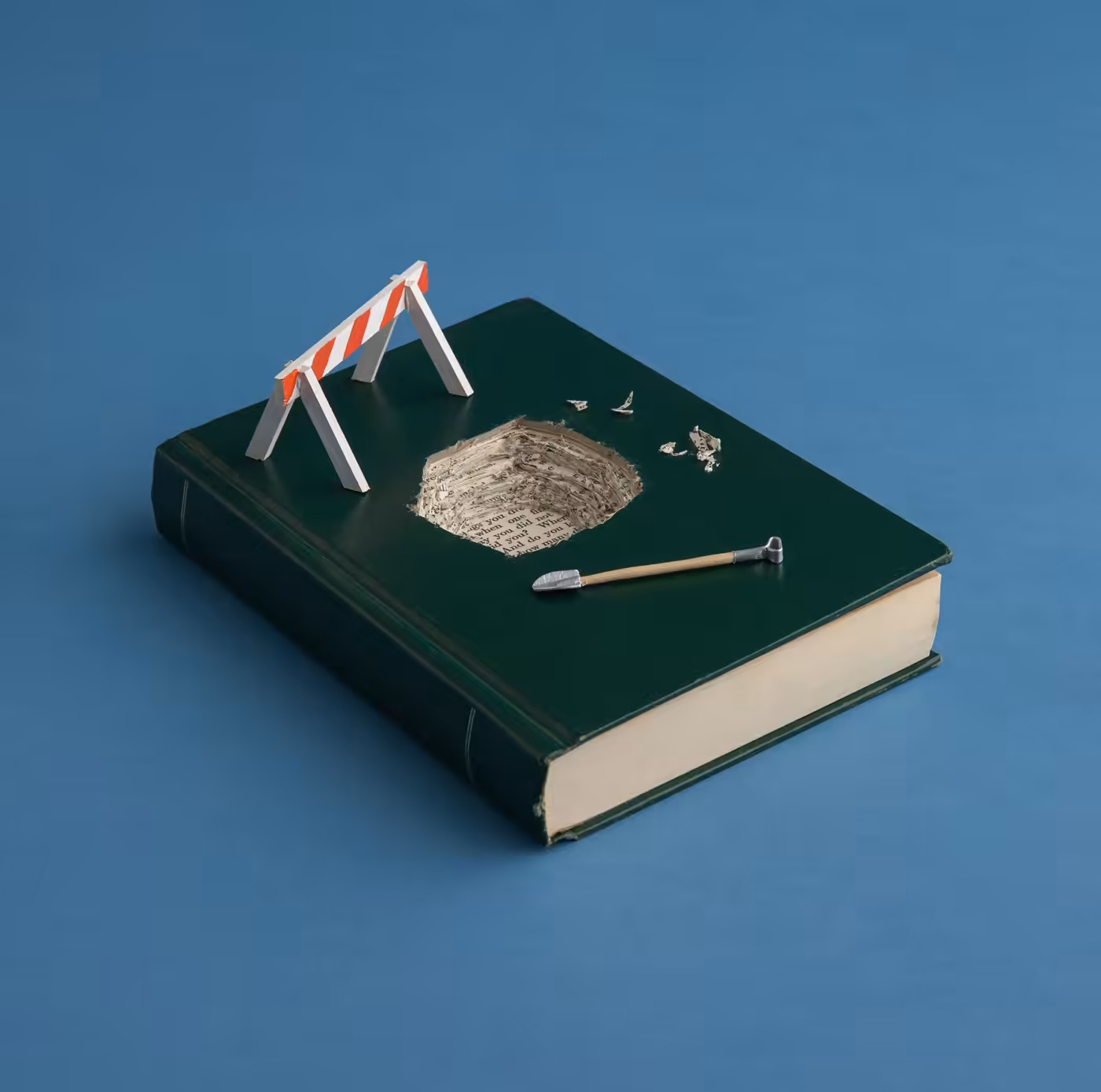 Book Sanitizing: A Wise Choice or Censorship?