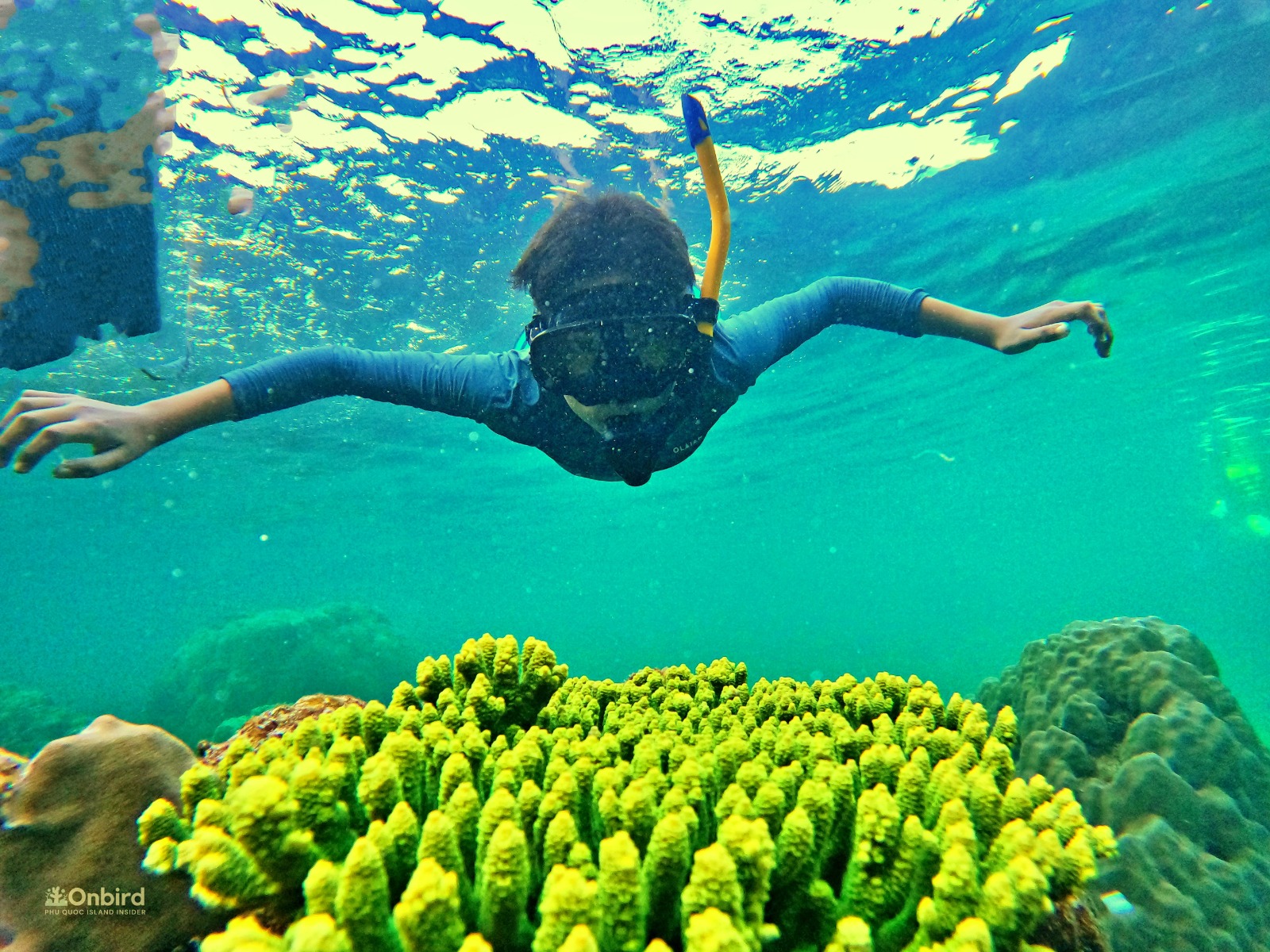 Snorkelling at Phu Quoc